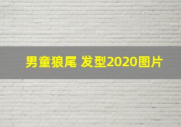 男童狼尾 发型2020图片